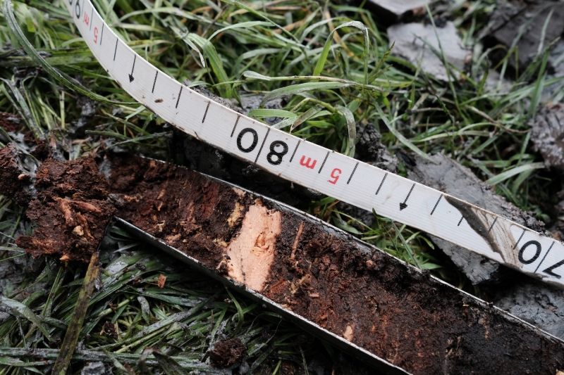 Amsterdam submerged soils, collected during Onland, soil drilling by Jacqueline Heerema icw climate scientists and -activists at Land in Wording, Amstelpark (2019). Photo Theo Mahieu.